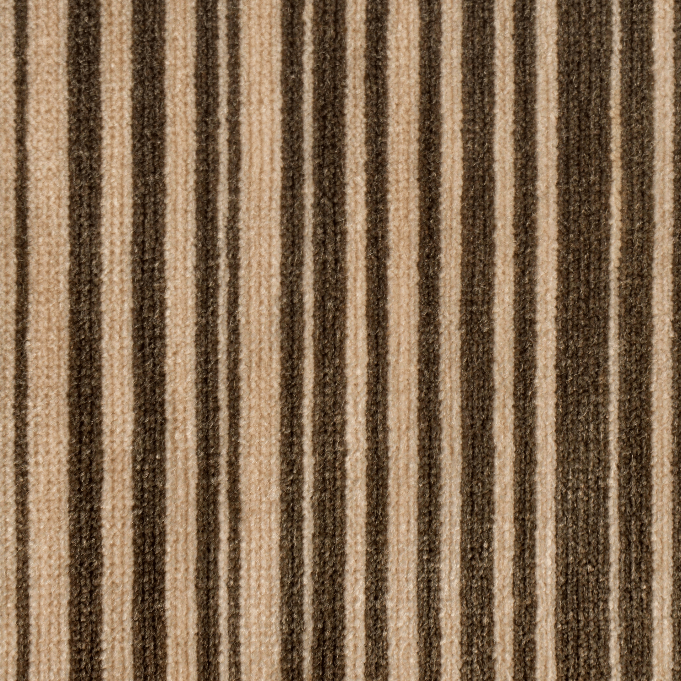 Music Room (Velvet) Fabric Swatch