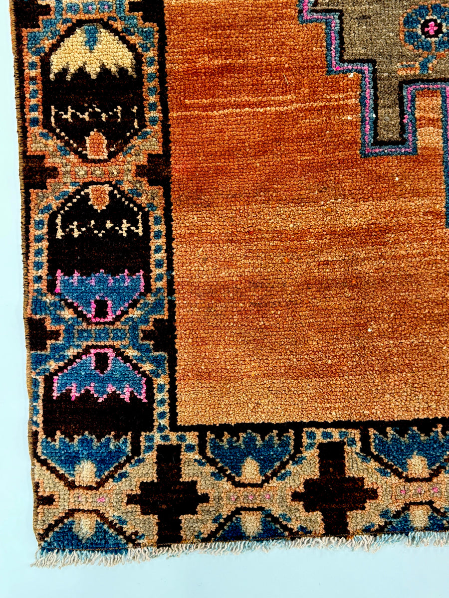 The Wawona Vintage Oushak Rug (5.6x11.5')