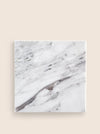 Arabescato (Marble) Sample - Home On Center
