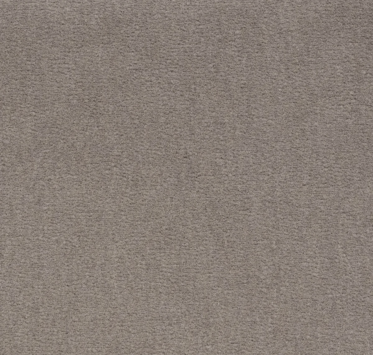 Taupe (Velvet)